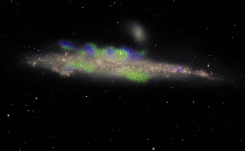 Whale Galaxy Magnetic