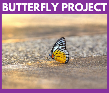 BUTTERFLY-PROJECT.png
